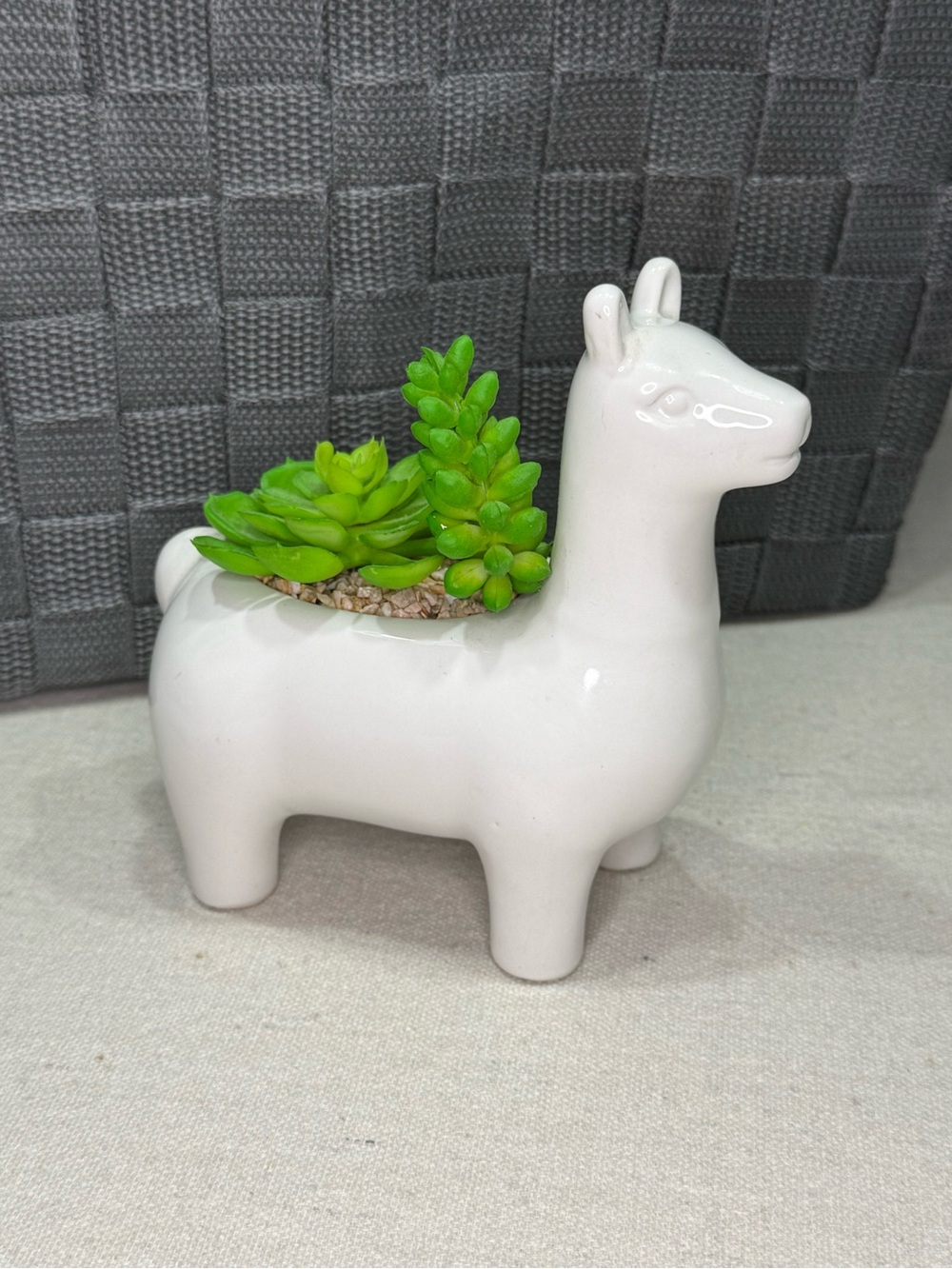 White Ceramic Llama Planter with Green Succulent Accent